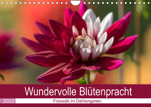 Wundervolle Blütenpracht – Fotowalk im Dahliengarten (Wandkalender 2022 DIN A4 quer) von und Sonja Teßen,  André