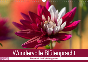 Wundervolle Blütenpracht – Fotowalk im Dahliengarten (Wandkalender 2023 DIN A3 quer) von und Sonja Teßen,  André