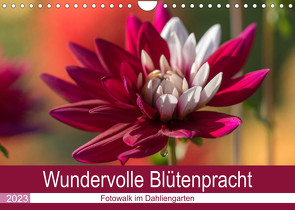 Wundervolle Blütenpracht – Fotowalk im Dahliengarten (Wandkalender 2023 DIN A4 quer) von und Sonja Teßen,  André