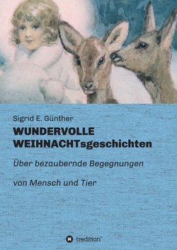 WUNDERVOLLE WEIHNACHTsgeschichten von Günther,  Sigrid E.