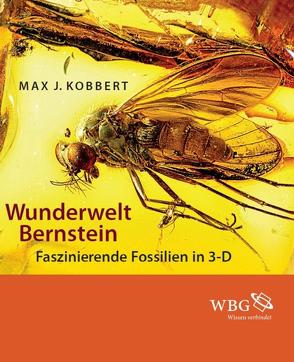 Wunderwelt Bernstein von Kobbert,  Max J