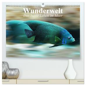 Wunderwelt. Das bunte Leben im Meer (hochwertiger Premium Wandkalender 2024 DIN A2 quer), Kunstdruck in Hochglanz von Stanzer,  Elisabeth