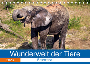 Wunderwelt der Tiere – Botswana (Tischkalender 2023 DIN A5 quer) von Fritsche (Five-Birds Photography - www.5bp.de),  Dirk