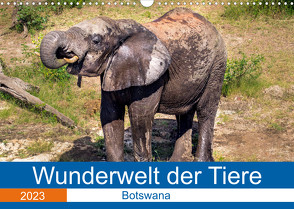 Wunderwelt der Tiere – Botswana (Wandkalender 2023 DIN A3 quer) von Fritsche (Five-Birds Photography - www.5bp.de),  Dirk