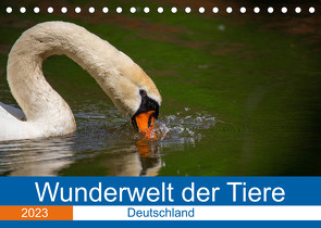 Wunderwelt der Tiere – Deutschland (Tischkalender 2023 DIN A5 quer) von Fritsche (Five-Birds Photography - www.5bp.de),  Dirk