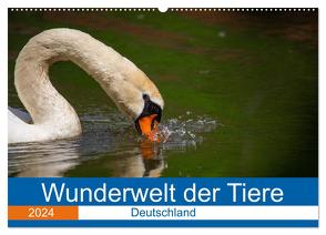 Wunderwelt der Tiere – Deutschland (Wandkalender 2024 DIN A2 quer), CALVENDO Monatskalender von Fritsche (Five-Birds Photography - www.5bp.de),  Dirk