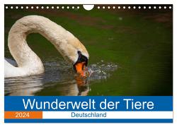 Wunderwelt der Tiere – Deutschland (Wandkalender 2024 DIN A4 quer), CALVENDO Monatskalender von Fritsche (Five-Birds Photography - www.5bp.de),  Dirk