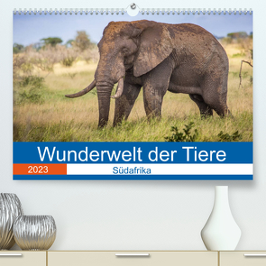 Wunderwelt der Tiere – Südafrika (Premium, hochwertiger DIN A2 Wandkalender 2023, Kunstdruck in Hochglanz) von Fritsche (Five-Birds Photography - www.5bp.de),  Dirk