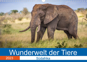 Wunderwelt der Tiere – Südafrika (Wandkalender 2023 DIN A3 quer) von Fritsche (Five-Birds Photography - www.5bp.de),  Dirk