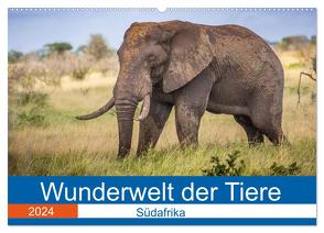 Wunderwelt der Tiere – Südafrika (Wandkalender 2024 DIN A2 quer), CALVENDO Monatskalender von Fritsche (Five-Birds Photography - www.5bp.de),  Dirk