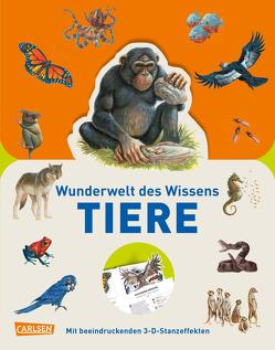 Wunderwelt des Wissens – Tiere von Butterfield,  Moira, Hübner,  Inga, Martin,  Stuart