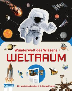 Wunderwelt des Wissens – Weltraum von Hübner,  Inga, Pettman,  Kevin