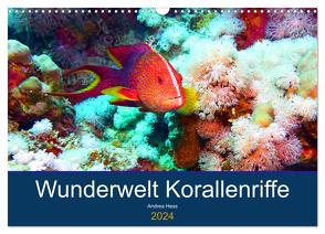 Wunderwelt Korallenriffe (Wandkalender 2024 DIN A3 quer), CALVENDO Monatskalender von Hess,  Andrea