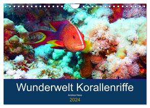 Wunderwelt Korallenriffe (Wandkalender 2024 DIN A4 quer), CALVENDO Monatskalender von Hess,  Andrea