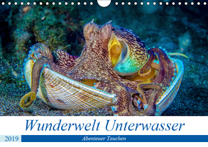 Wunderwelt Unterwasser (Wandkalender 2019 DIN A4 quer) von Gödecke,  Dieter