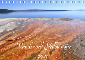 Wunderwelt Yellowstone 2021 (Tischkalender 2021 DIN A5 quer) von Anders,  Holm