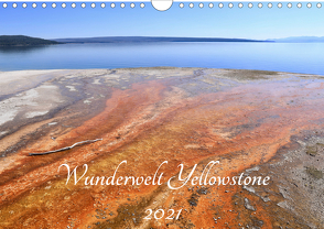 Wunderwelt Yellowstone 2021 (Wandkalender 2021 DIN A4 quer) von Anders,  Holm