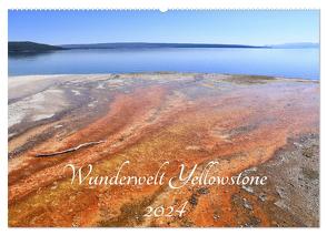 Wunderwelt Yellowstone 2024 (Wandkalender 2024 DIN A2 quer), CALVENDO Monatskalender von Anders,  Holm