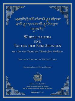 Wurzel-Tantra und Tantra der Erklärungen der tibetischen Medizin von Ploberger,  Florian