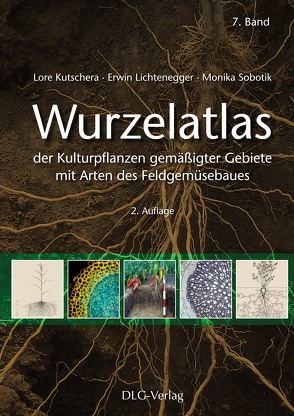 Wurzelatlas der Kulturpflanzen gemäßigter Gebiete mit Arten des Feldgemüsebaues von Kutschera,  Lore, Lichtenegger,  Erwin, Sobotik,  Monika