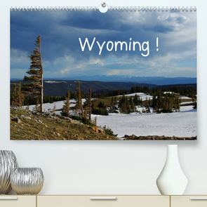 Wyoming! (Premium, hochwertiger DIN A2 Wandkalender 2023, Kunstdruck in Hochglanz) von Del Luongo,  Claudio