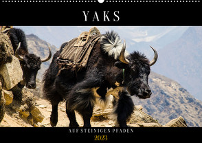 Yaks – auf steinigen Pfaden (Wandkalender 2023 DIN A2 quer) von Utz,  Renate