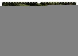 Yakushima – Japans Weltnaturerbe (Wandkalender 2024 DIN A3 quer), CALVENDO Monatskalender von Lohse-Koch,  Steffen Yakushima – Japans Weltnaturerbe (Wandkalender 2024 DIN A3 quer), CALVENDO Monatskalender von Lohse-Koch,  Steffen