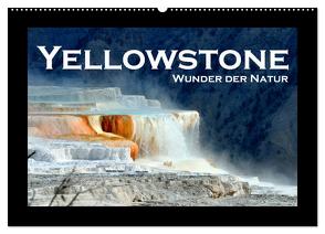 Yellowstone – Wunder der Natur (Wandkalender 2024 DIN A2 quer), CALVENDO Monatskalender von Styppa,  Robert