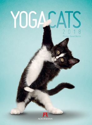 Yoga Cats 2018 von Borris,  Daniel