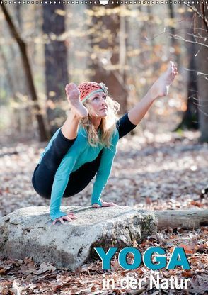 Yoga in der Natur (Wandkalender 2019 DIN A2 hoch) von CALVENDO