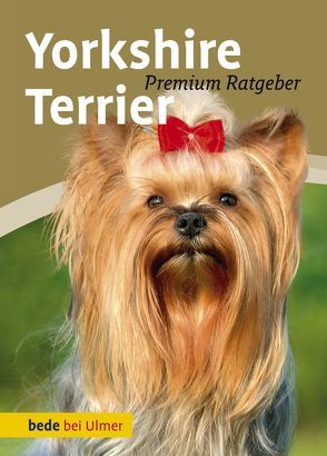 Yorkshire Terrier von Schmitt,  Annette, Wnuk,  Regina