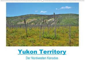 Yukon Territory – Der Nordwesten Kanadas (Wandkalender 2021 DIN A2 quer) von Selzam,  Frank