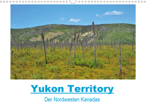 Yukon Territory – Der Nordwesten Kanadas (Wandkalender 2021 DIN A3 quer) von Selzam,  Frank