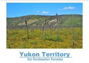 Yukon Territory – Der Nordwesten Kanadas (Wandkalender 2022 DIN A2 quer) von Selzam,  Frank