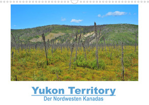 Yukon Territory – Der Nordwesten Kanadas (Wandkalender 2023 DIN A3 quer) von Selzam,  Frank