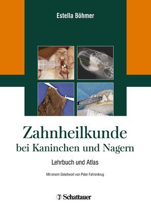 Zahnheilkunde bei Kaninchen und Nagern von Böhmer,  Estella