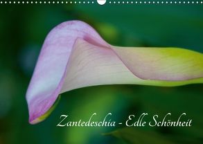 Zantedeschia – Edle Schönheit (Wandkalender 2018 DIN A3 quer) von Drafz,  Silvia