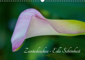 Zantedeschia – Edle Schönheit (Wandkalender 2019 DIN A3 quer) von Drafz,  Silvia