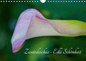 Zantedeschia – Edle Schönheit (Wandkalender 2019 DIN A4 quer) von Drafz,  Silvia