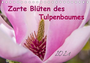 Zarte Blüten des Tulpenbaumes (Tischkalender 2021 DIN A5 quer) von Laage,  Elke