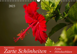 Zarte Schönheiten – Feine HibiskusblütenAT-Version (Wandkalender 2023 DIN A3 quer) von Schumann,  Bianca