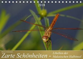 Zarte Schönheiten – Libellen der Malaiischen Halbinsel (Tischkalender 2018 DIN A5 quer) von Schumann,  Bianca