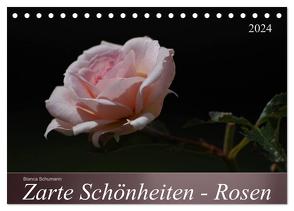 Zarte Schönheiten – Rosen (Tischkalender 2024 DIN A5 quer), CALVENDO Monatskalender von Schumann,  Bianca