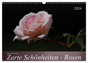 Zarte Schönheiten – Rosen (Wandkalender 2024 DIN A3 quer), CALVENDO Monatskalender von Schumann,  Bianca