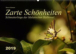 Zarte Schönheiten Schmetterlinge der Malaiischen Halbinsel (Wandkalender 2019 DIN A2 quer) von Schumann,  Bianca