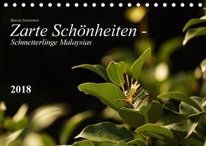 Zarte Schönheiten – Schmetterlinge MalaysiasCH-Version (Tischkalender 2018 DIN A5 quer) von Schumann,  Bianca