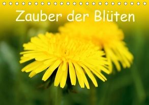 Zauber der Blüten (Tischkalender 2018 DIN A5 quer) von Ziehr,  Maria-Anna
