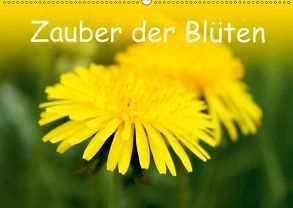 Zauber der Blüten (Wandkalender 2019 DIN A2 quer) von Ziehr,  Maria-Anna