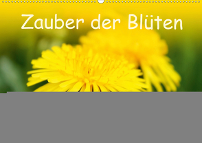 Zauber der Blüten (Wandkalender 2020 DIN A2 quer) von Ziehr,  Maria-Anna
