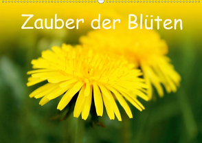 Zauber der Blüten (Wandkalender 2021 DIN A2 quer) von Ziehr,  Maria-Anna